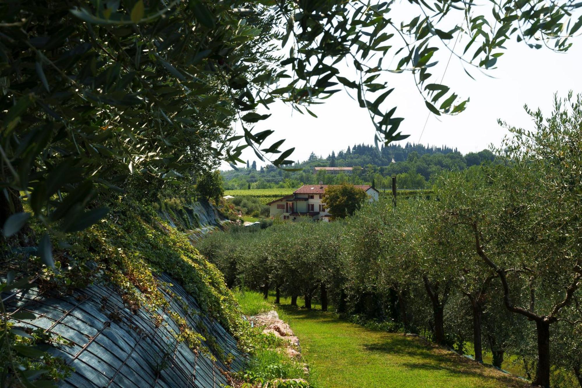 Bed and Breakfast Residenza Vesentini à Pastrengo Extérieur photo
